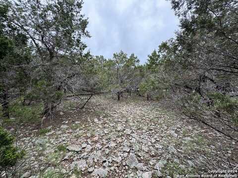 1774 BROOK VALLEY DR, Canyon Lake, TX 78133