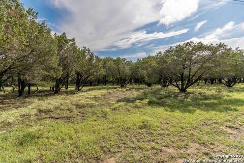 1170 Whispering Water, Spring Branch, TX 78070