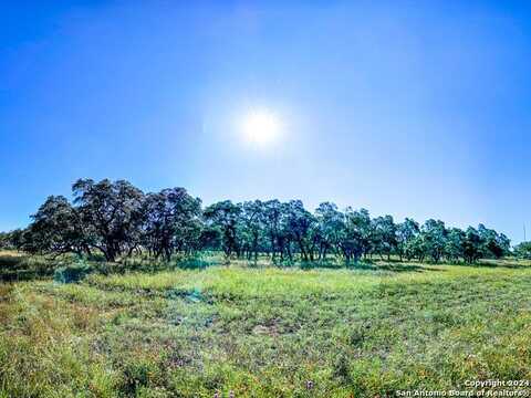 Lot 2 Legacy Hills, Johnson City, TX 78636