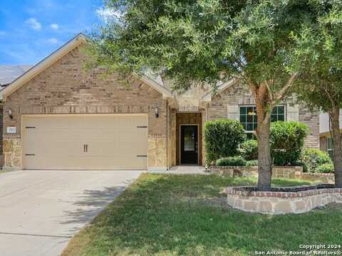 13923 PERSIMMON CV, San Antonio, TX 78245