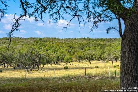 436 Stevens Ranch Rd, Harper, TX 78631