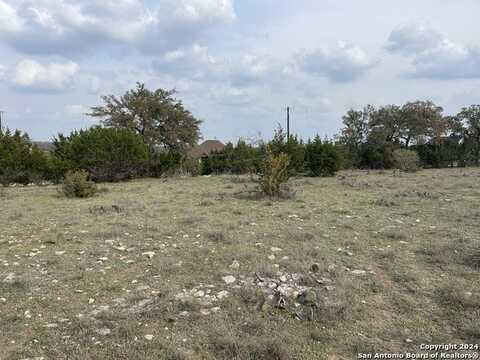 113 William Woods, Blanco, TX 78606