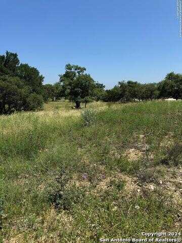 Tbd FM 1107, Tract 1, Stockdale, TX 78160