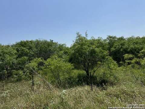 Steele Branch Lane Tract 3, Stockdale, TX 78160