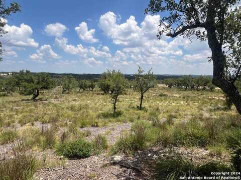 1124 adyson ridge, Bulverde, TX 78163