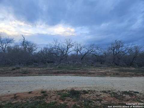 1875 CR 168, Floresville, TX 78114