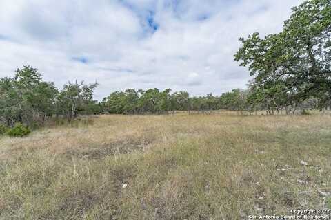 Stevens Ranch, Harper, TX 78631