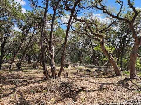 Lot 18 Forest Lake Dr, Spring Branch, TX 78070