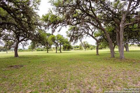 Lot 20 Ringtail Court, Pipe Creek, TX 78063