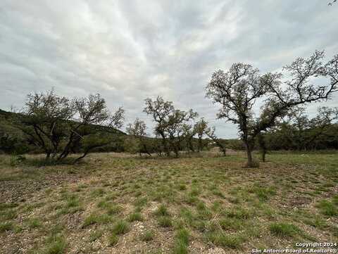 361 Private Road 1742, Mico, TX 78056