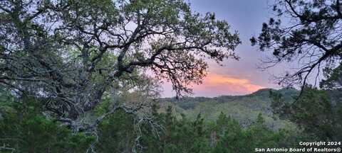 2515 Smoke Rise Canyon, Bulverde, TX 78163