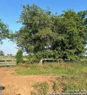 14814 LADD ROAD, Atascosa, TX 78002