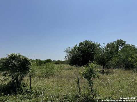 Tbd Steele Branch Ln #2, Stockdale, TX 78160