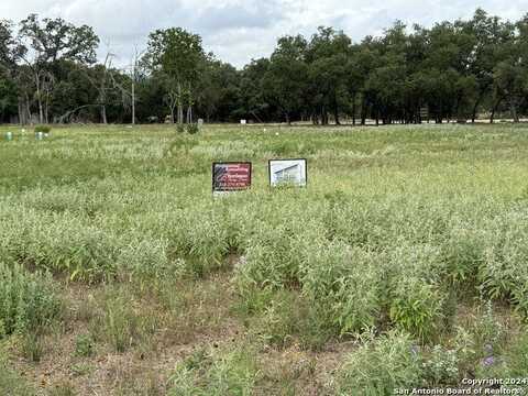 1103 12th Street, Blanco, TX 78606