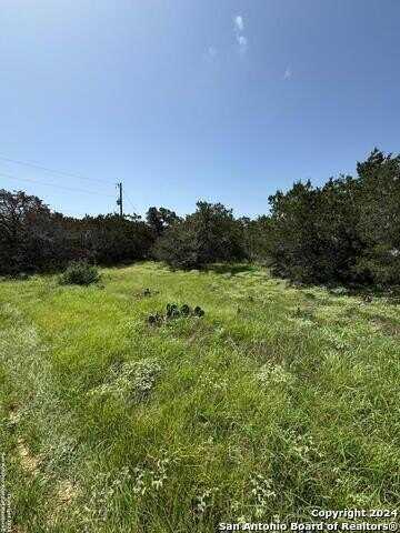 BLUE BONNET HILL DR, Spring Branch, TX 78070