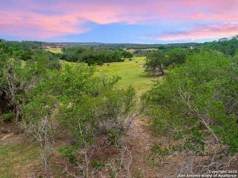 660 Travis Forest, San Antonio, TX 78163