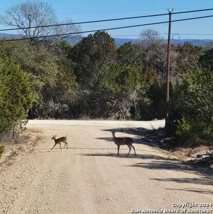 Lot 469 Topside Trl, Bandera, TX 78003