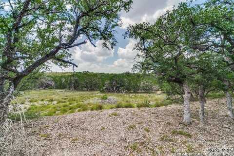 1040 adyson ridge, Bulverde, TX 78163