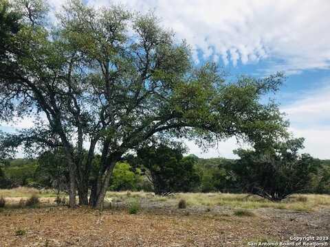 Parcel 12 Rio Lantana, Pipe Creek, TX 78063