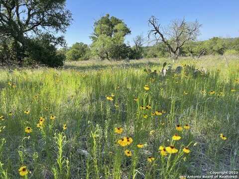 101 Whitetail Trail, San Saba, TX 76877