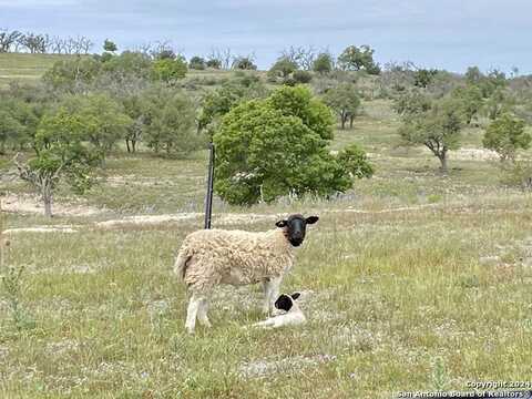 4552 Reeh Rd Lot 25, Fredericksburg, TX 78624