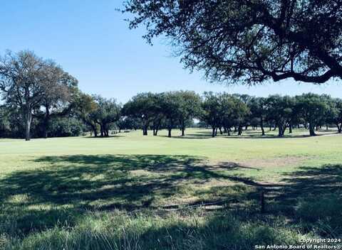 203 S CONTOUR DR, Spring Branch, TX 78070