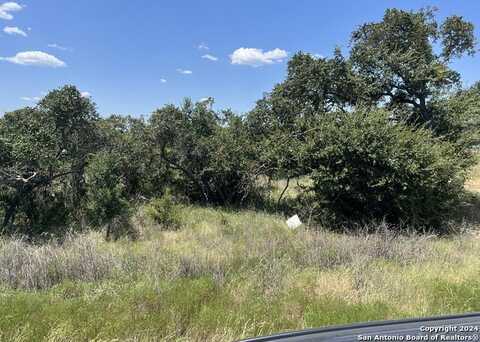 34717 CARRIES CREEK DR, Bulverde, TX 78163