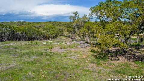 323 Serenity Pass, Spring Branch, TX 78070