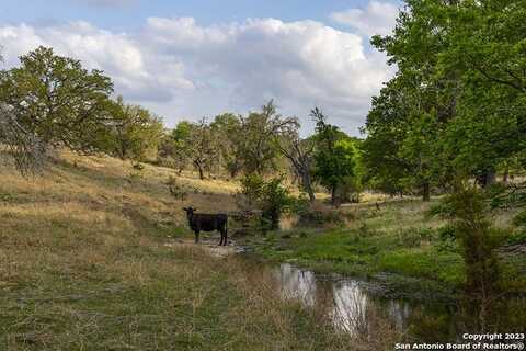 855 Lindig Ranch Rd, Stonewall, TX 78671