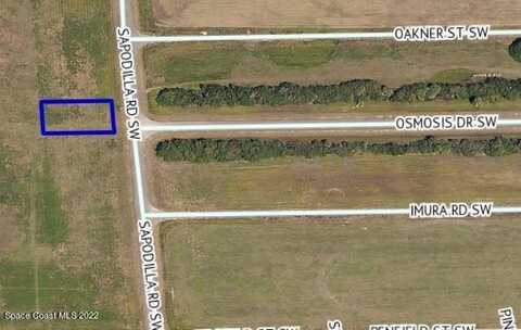 2250 Sapodilla Road SW, Palm Bay, FL 32908