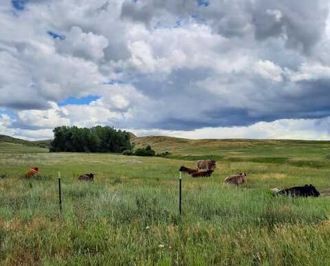 TBD Dry Ranch Road, Sheridan, WY 82801