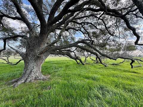 9503 Farm To Market Road 389, Brenham, TX 77833