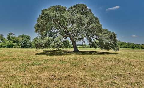 4914 Hartfield Road, Round Top, TX 78954