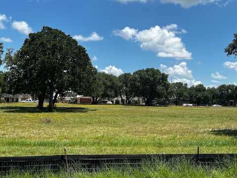 Lot 13 Thomas Estates ~ Greenspointe Avenue, La Grange, TX 78945