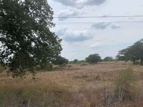 Tbd County Road 461, Hallettsville, TX 77964