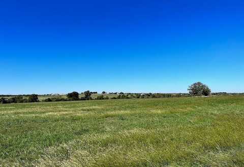 Lot 9 Caney Creek Road-Chadwick Hogan Estates, Chappell Hill, TX 77426