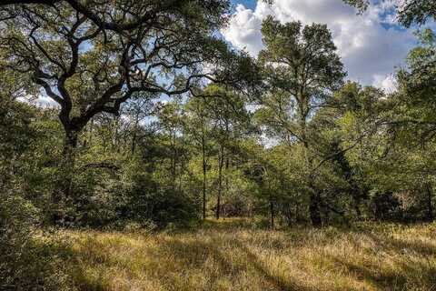 00 League Line Road, Smithville, TX 78957