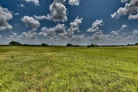 TBD Pacen Place, Chappell Hill, TX 77426