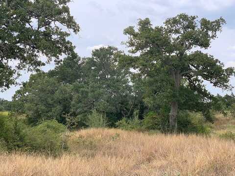 TBD County Road 388, Hallettsville, TX 77964