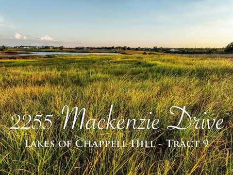 2255 Mackenzie Drive, Chappell Hill, TX 77426