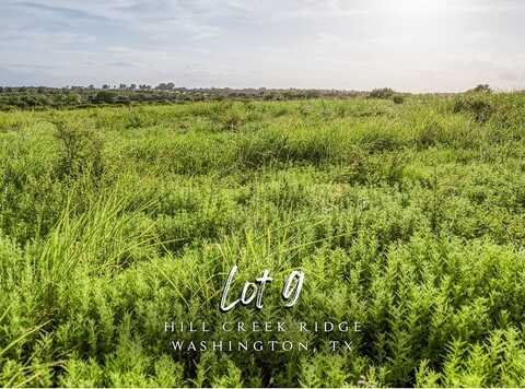 Lot 9 Hargrove Lane, Washington, TX 77880