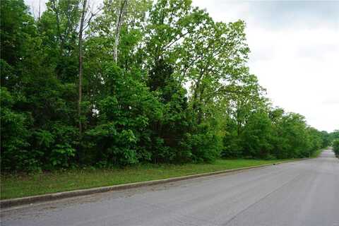 0 Columbia Avenue Lot 21, Rolla, MO 65401