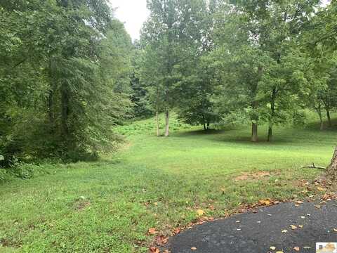 Lot 8 Turkey Run Drive, Burkesville, KY 42717