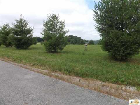 Lot 78 Parks Ridge Road, Russell Springs, KY 42642