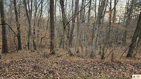 Lot 51 Cherokee Road, Lucas, KY 42156