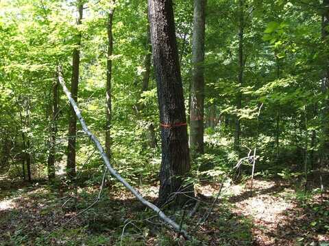 Log House Lane, Charlotte Court House, VA 23923