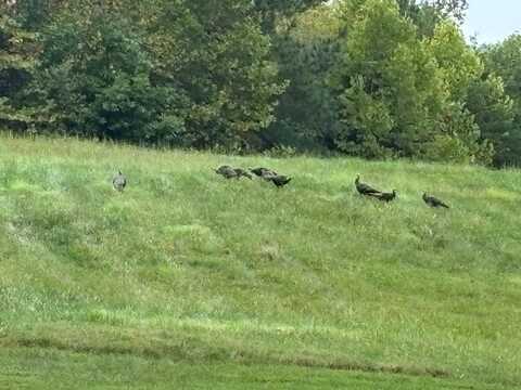 end of Meriwood Farm Road, Farmville, VA 23901