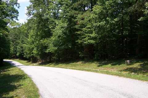 Lot 4 Buckhead Drive, Bracey, VA 23919