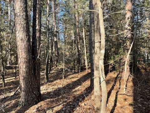 Lot 26 Locust Drive, Bracey, VA 23919