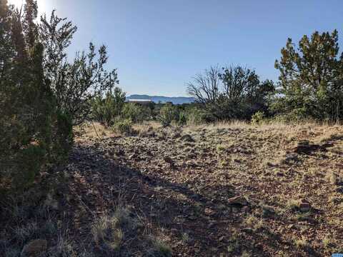 5x Xyz Ranch Rd, Arenas Valley, NM 88022